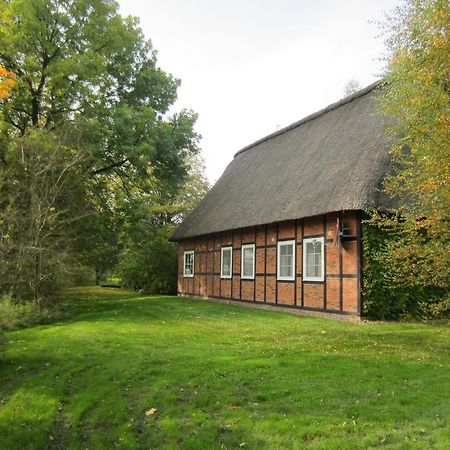 Gaestehaus Eulennest Grossenworden Extérieur photo